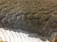 Close up of sculpted vulture wing