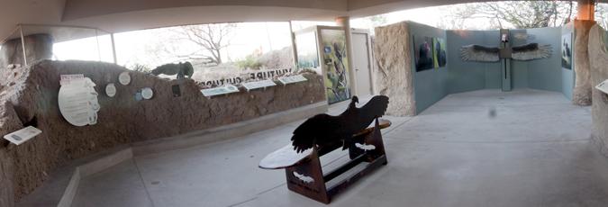 Vulture Culture Exhibit Overview